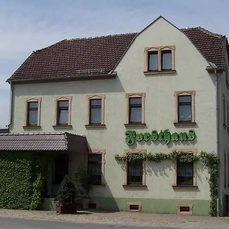 Couette-café Forsthaus Ottendorf-okrilla 3*